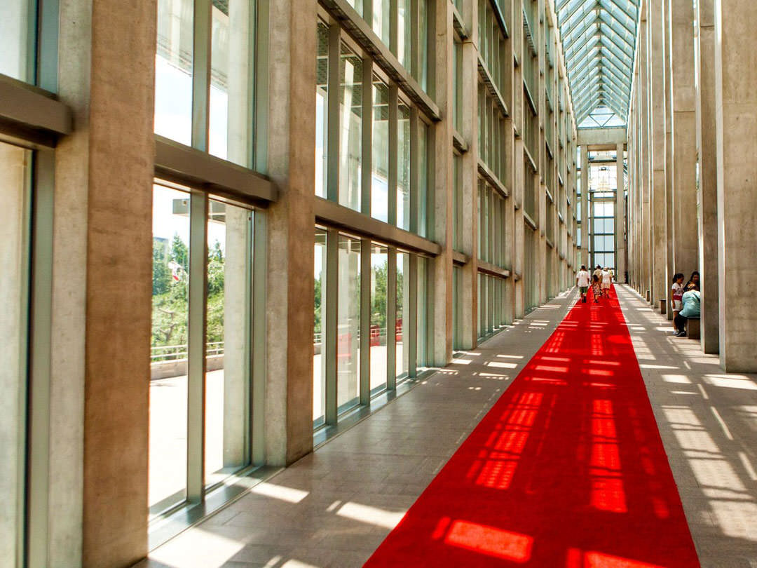 Visitors explore a long, sunlit glass-pannelled hallway.