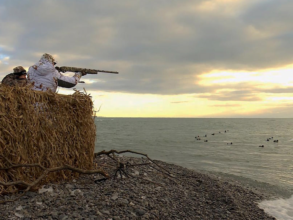 Zwei Männer zielen von einem Jagdversteck aus auf Wasservögel im See.