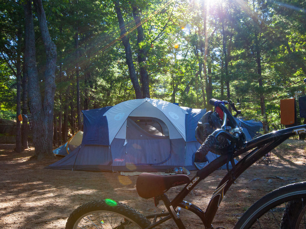 Una carpa azul y blanca y una bicicleta en un camping rodeado de árboles.