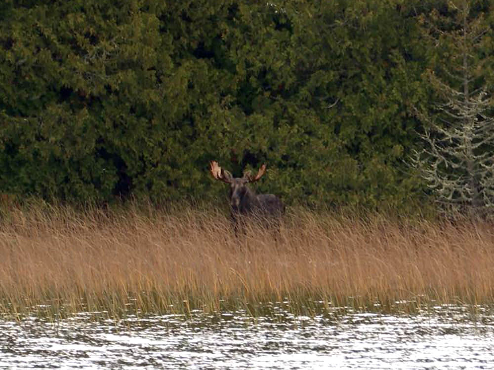 Hunting Regulations Destination Ontario