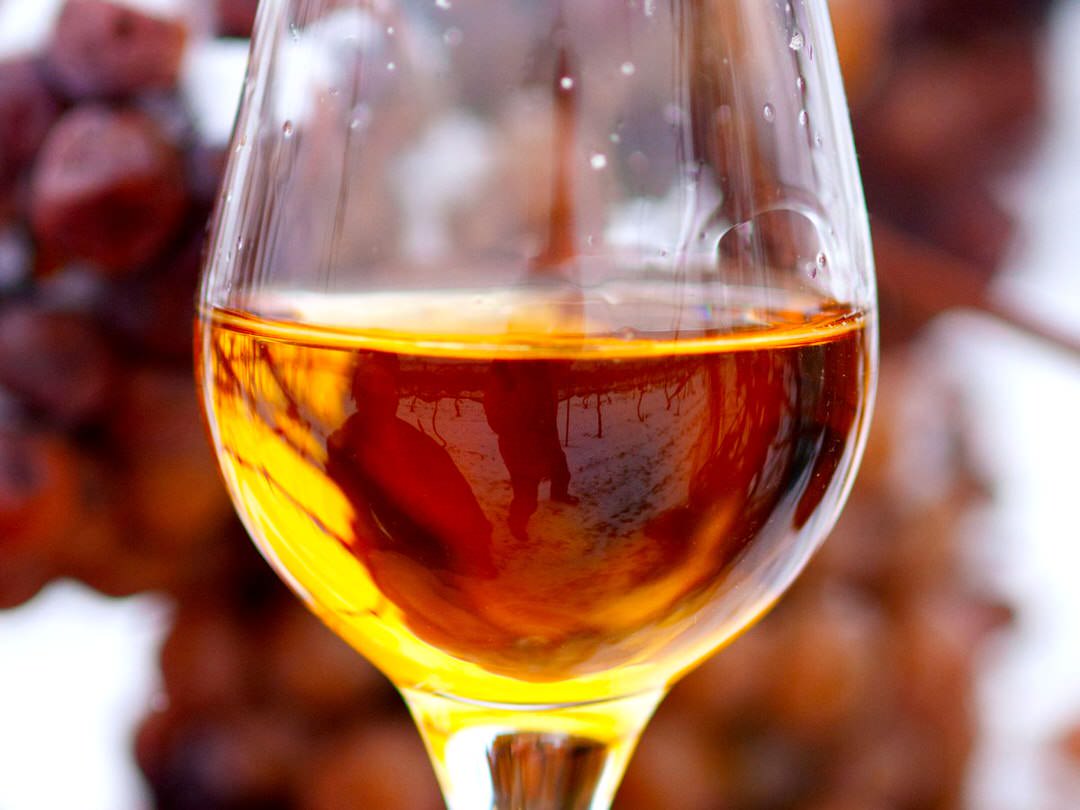 A wine glass containing Icewine is held up in front of frozen grapes on the vine