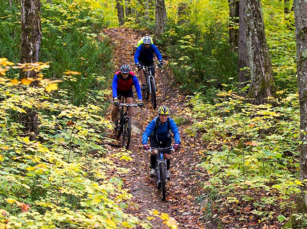 3 Radfahrer fahren auf einem Weg im Wald.