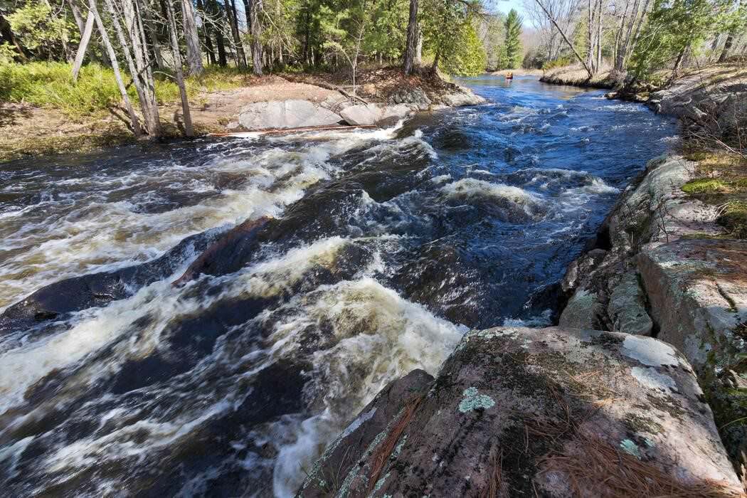 Rough rapids are running down the river in between trees.