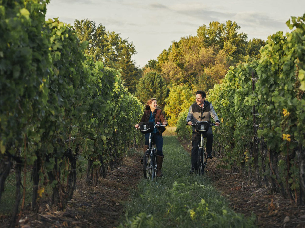 niagara wine tours from burlington