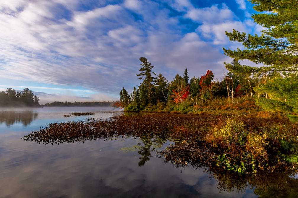 Réflexions de nuages et d'arbres aux couleurs de l'automne sur un lac.