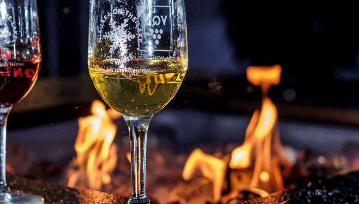 Deux verres de vin de marque sont assis devant un feu extérieur.