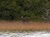 Hunting Regulations | Destination Ontario